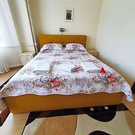 Hotel Florentina 3*